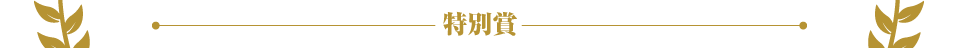 特別賞