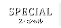 スペシャル