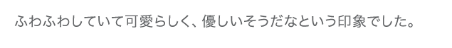 ふわふわしていて可愛らしく、優しいそうだなという印象でした。