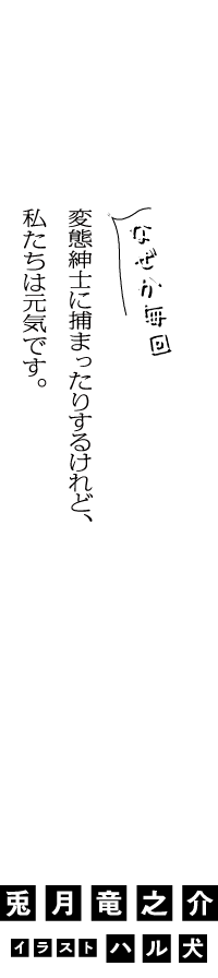 なぜか毎回変態紳士に捕まったりするけれど、私たちは元気です。　兎月 竜之介　イラスト／ハル犬